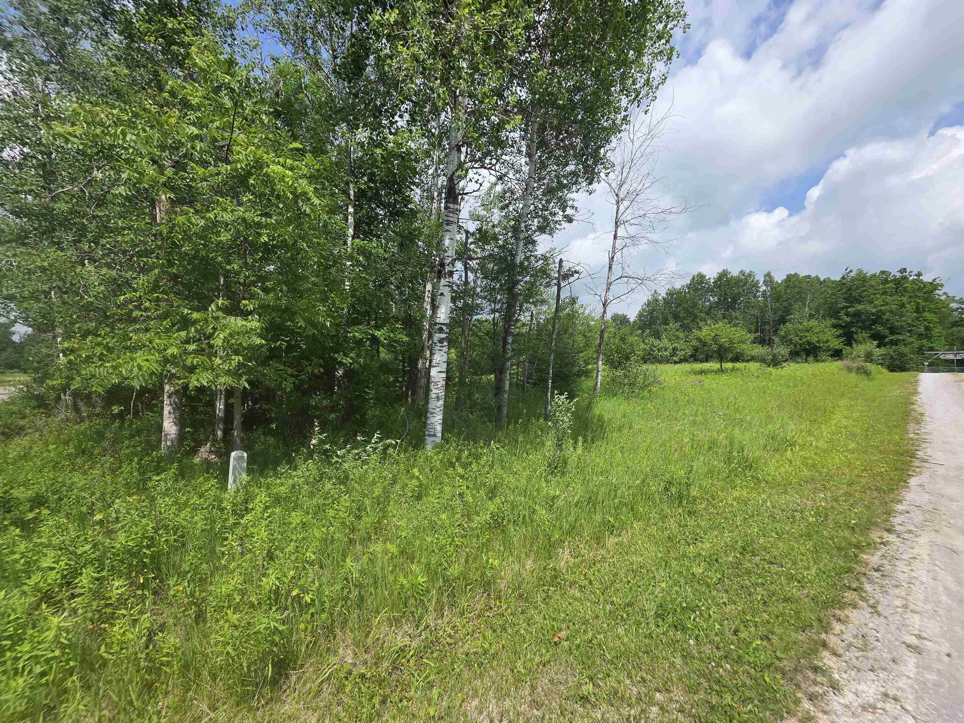 0 Sage Lake Road Lupton, MI 48635 - Photo 5 of 6 1947449-c8af988e-0675-4742-a065-b319cdb22fab.JPG