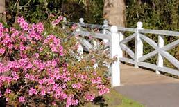524 Kilarney Road Summerville, SC 29483 - Photo 53 of 60 Summerville's Beautiful Azalea Park