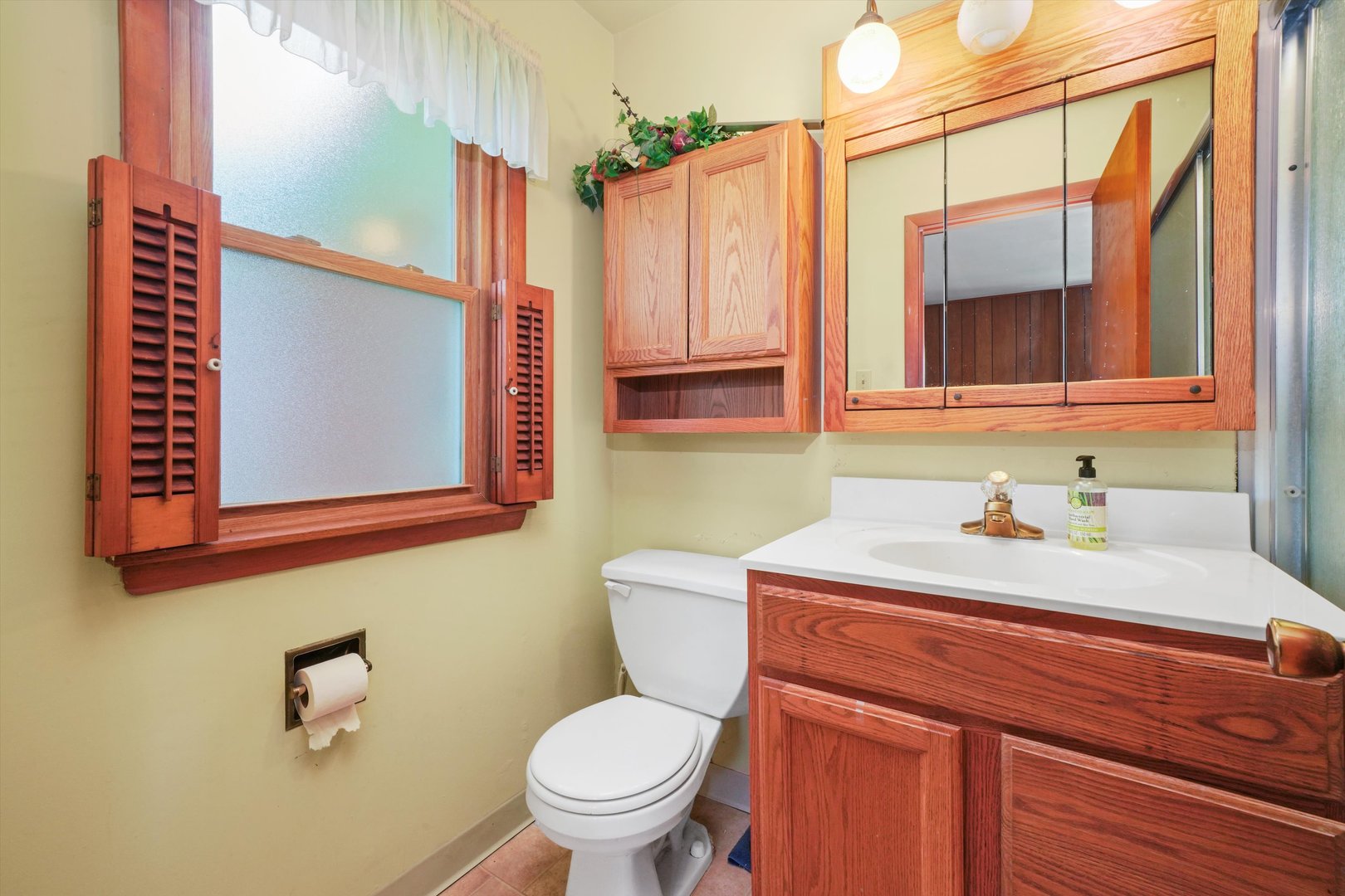 1350 Perry Street Crete, IL 60417 - Photo 14 of 17 a bathroom with a toilet a sink and a mirror