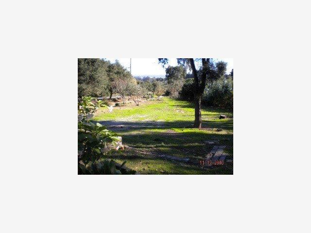343 Trabing Road Watsonville, CA 95076 - Photo 9 of 9 Gallery Image 9