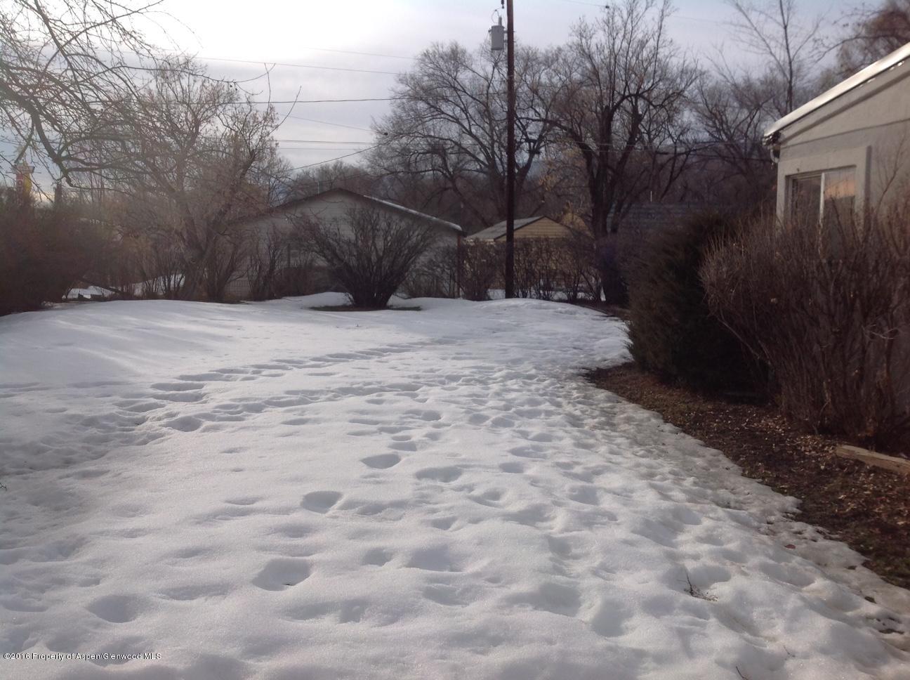 125 Daniel Avenue Rifle, CO 81650 - Photo 4 of 12 a view of a yard