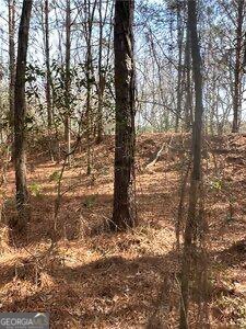 229 Hudson Road Fitzgerald, GA 31750 - Photo 11 of 16