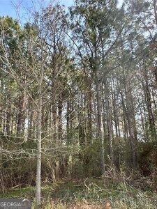 229 Hudson Road Fitzgerald, GA 31750 - Photo 12 of 16 a picture of a tree