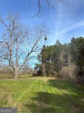 229 Hudson Road Fitzgerald, GA 31750 - Photo 13 of 16 a view of a yard with an tree
