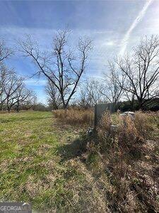 229 Hudson Road Fitzgerald, GA 31750 - Photo 15 of 16 a backyard of a house with lots of green space