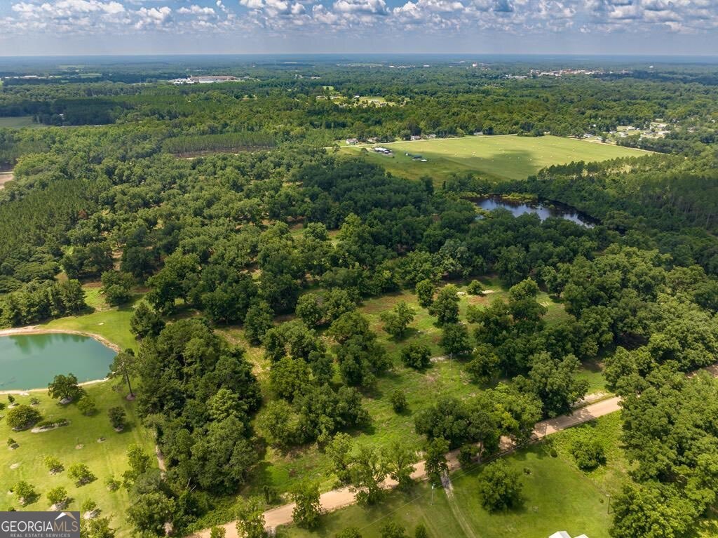 229 Hudson Road Fitzgerald, GA 31750 - Photo 4 of 16 a view of a lush green field and lots of trees