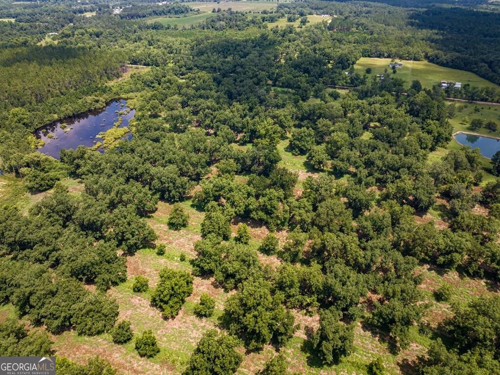229 Hudson Road Fitzgerald, GA 31750 - Photo 6 of 16 an aerial view of residential house with outdoor space and trees all around