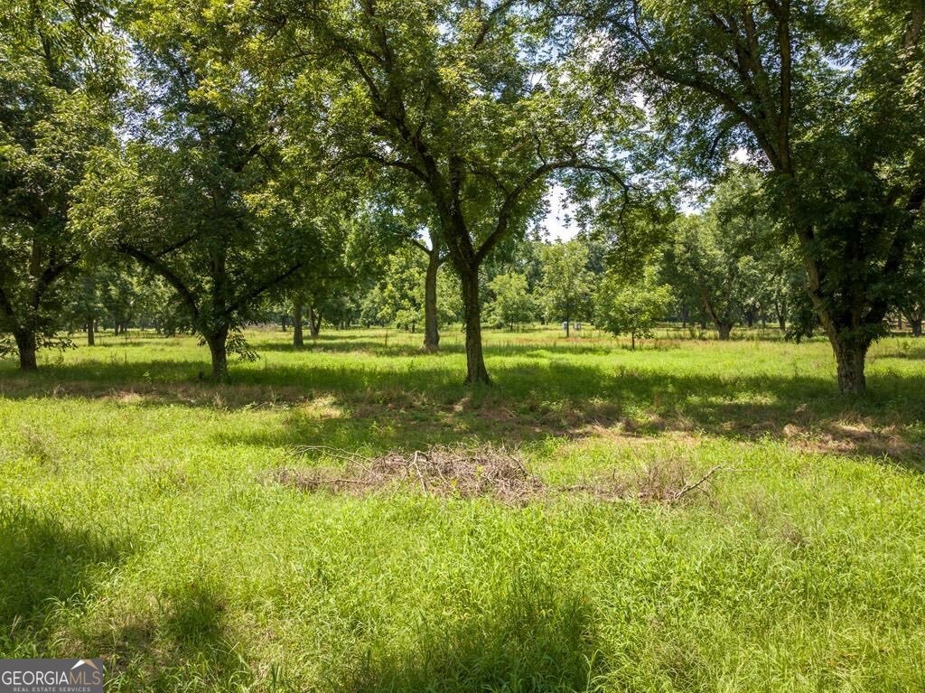 229 Hudson Road Fitzgerald, GA 31750 - Photo 7 of 16 a view of a grassy field with trees