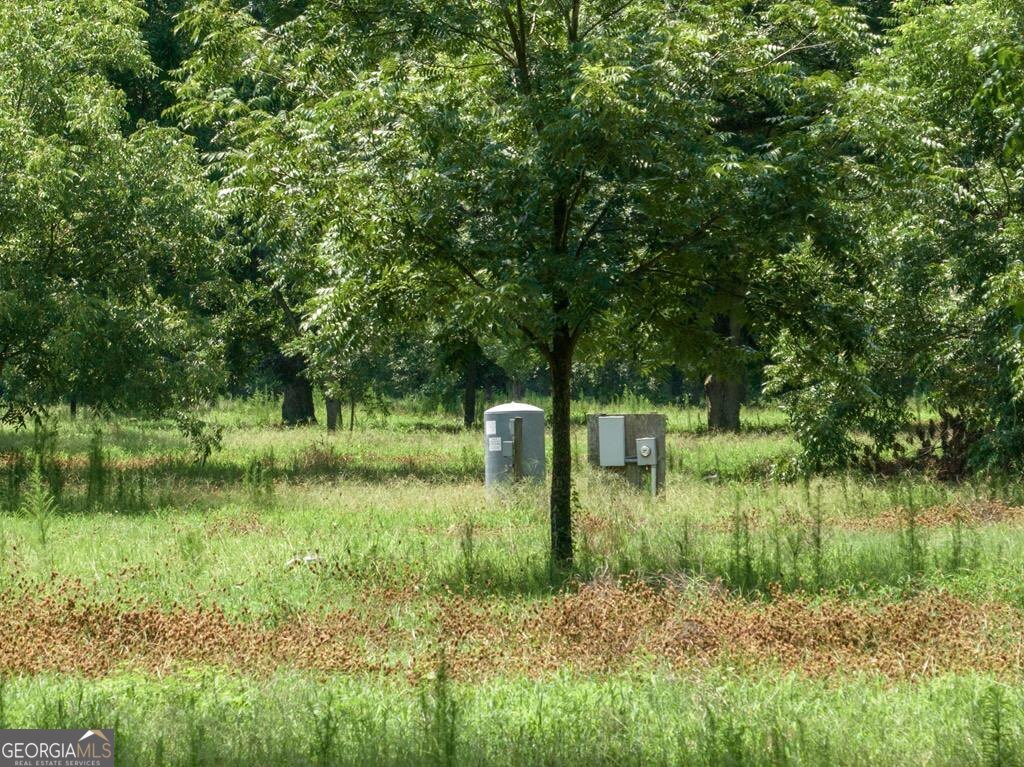 229 Hudson Road Fitzgerald, GA 31750 - Photo 8 of 16 a backyard of a house with a yard and large trees