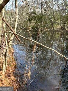 229 Hudson Road Fitzgerald, GA 31750 - Photo 9 of 16 a picture of a tree
