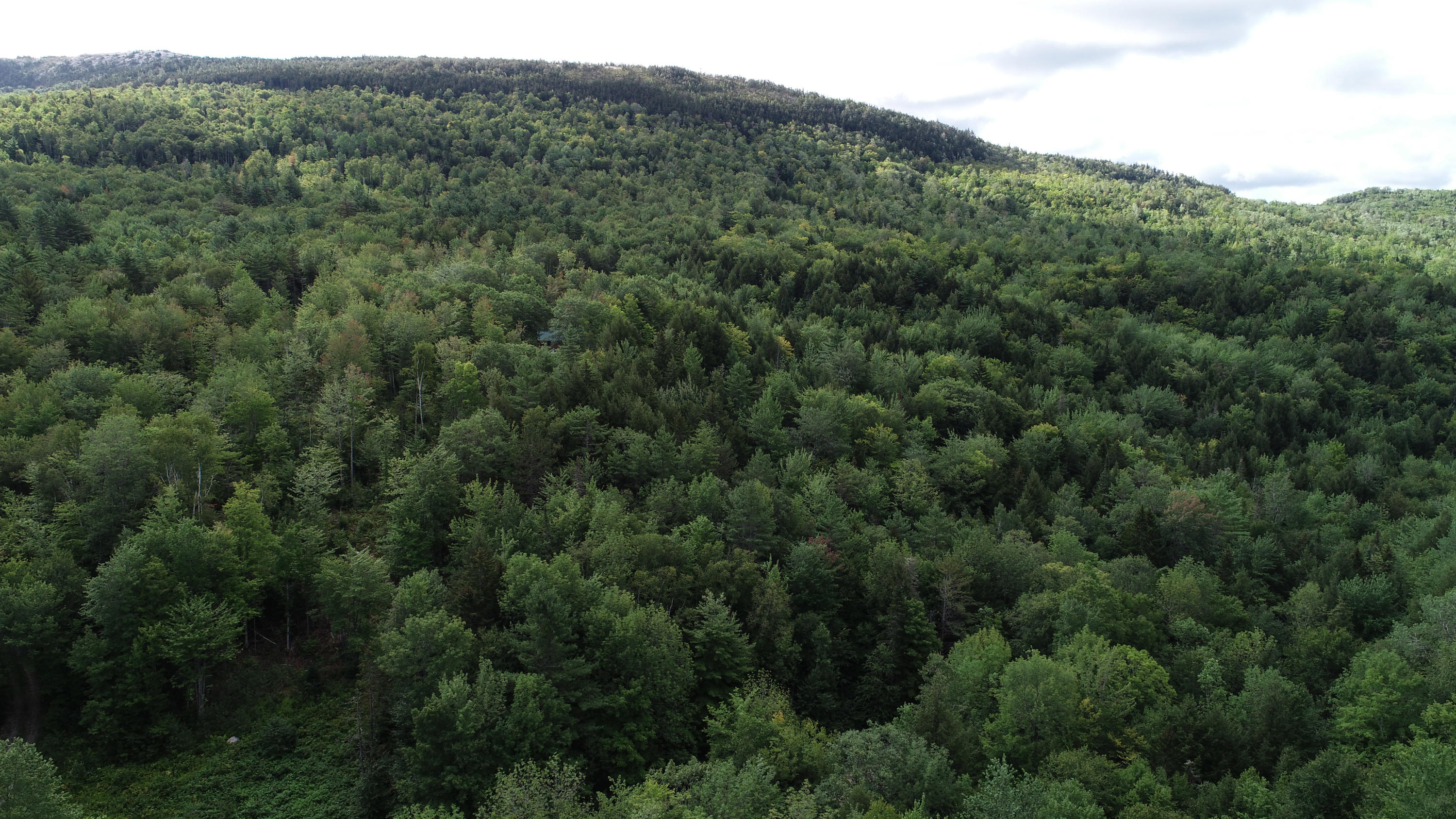 Tbd Coburn Brook Road Rumford, ME 04276 - Photo 5 of 16 DJI_0024