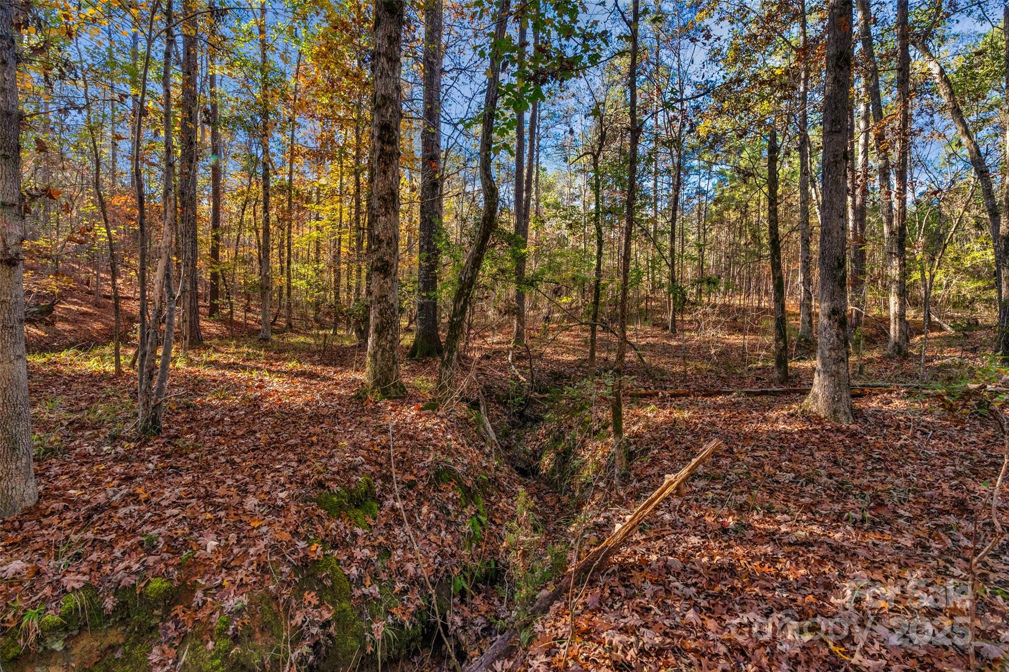 0 River Road, Unit 2 Ridgeway, SC 29130 - Photo 14 of 25