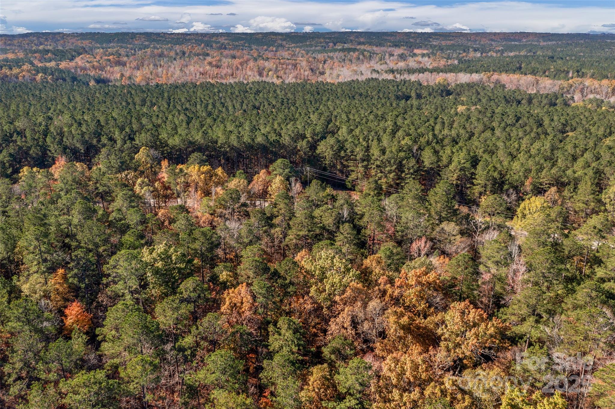 0 River Road, Unit 2 Ridgeway, SC 29130 - Photo 6 of 25 a view of a green field with lots of bushes