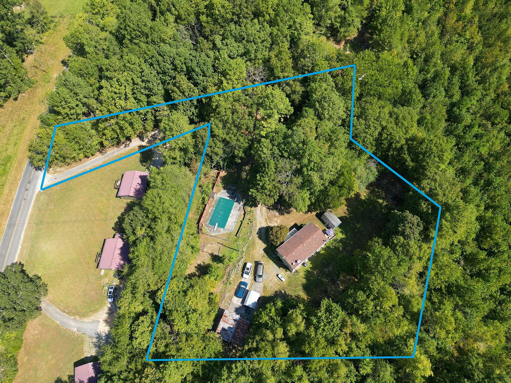 1254 Mahan Road Summerville, GA 30747 - Photo 11 of 50 Appx Lot Lines Aerial