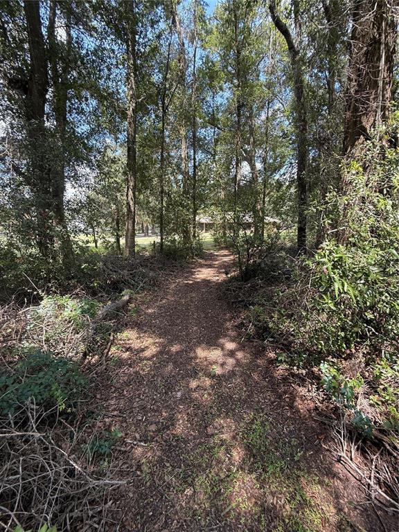 9901 Southwest 67th Terrace Ocala, FL 34476 - Photo 57 of 71 a view of a forest with trees in the background