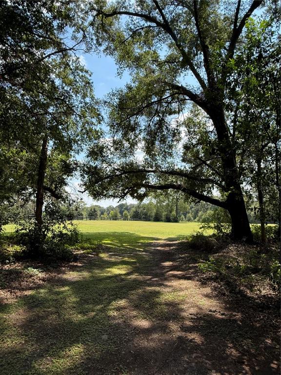 9901 Southwest 67th Terrace Ocala, FL 34476 - Photo 66 of 71 a view of a lake with a large trees