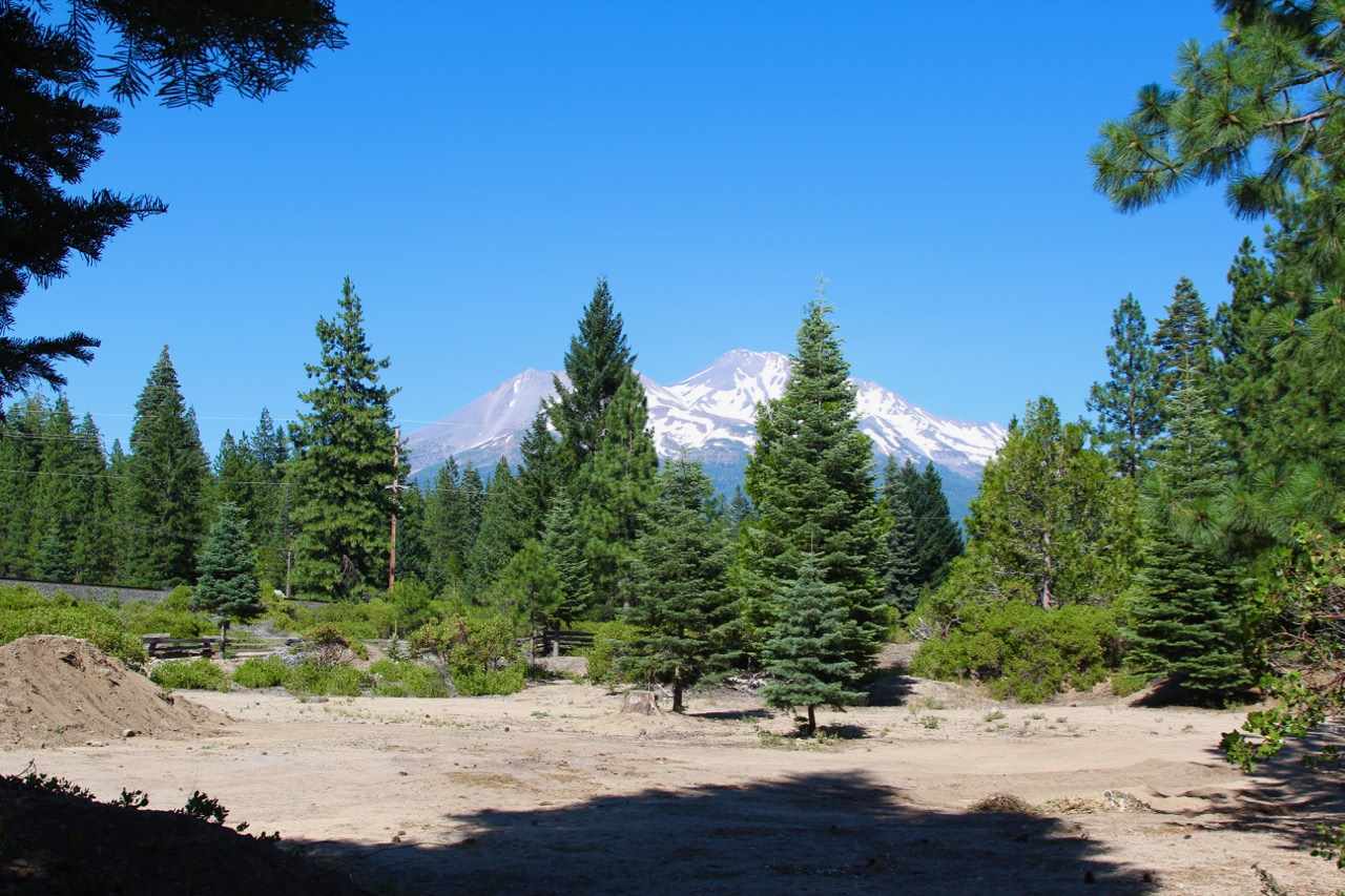Lot 5 Davis Place Road Mount Shasta, CA 96067 - Photo 9 of 11 Gallery Image 9