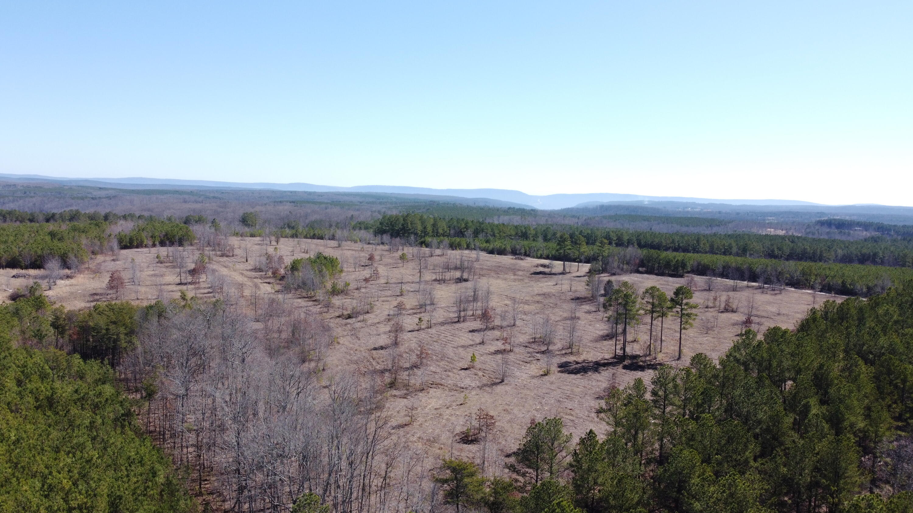 8 Fredonia Road Dunlap, TN 37327 - Photo 11 of 13 Photo Feb 24 2025, 12 40 37 PM