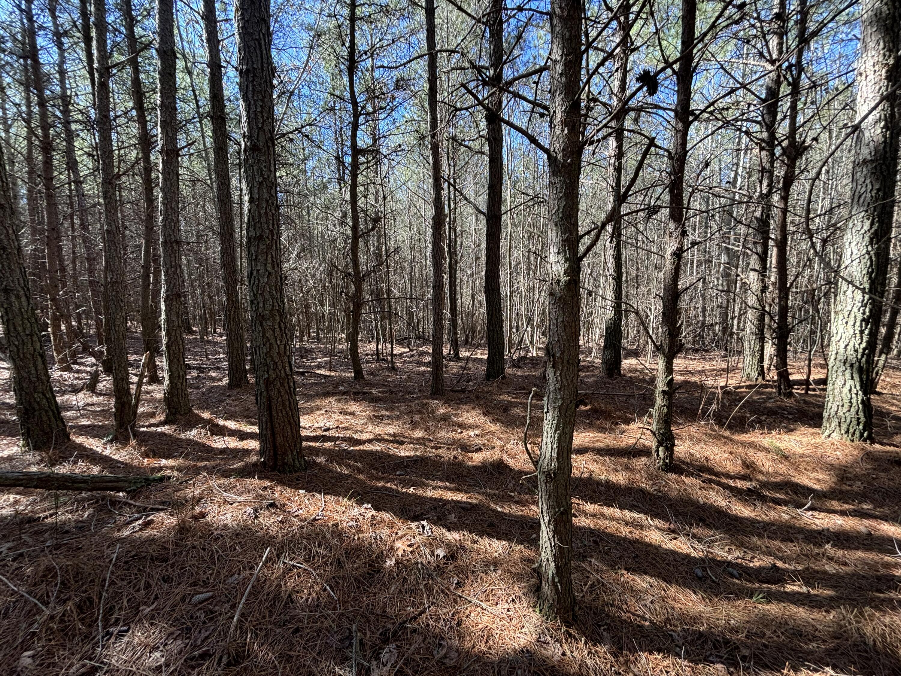 8 Fredonia Road Dunlap, TN 37327 - Photo 2 of 13 Photo Feb 24 2025, 11 29 09 AM