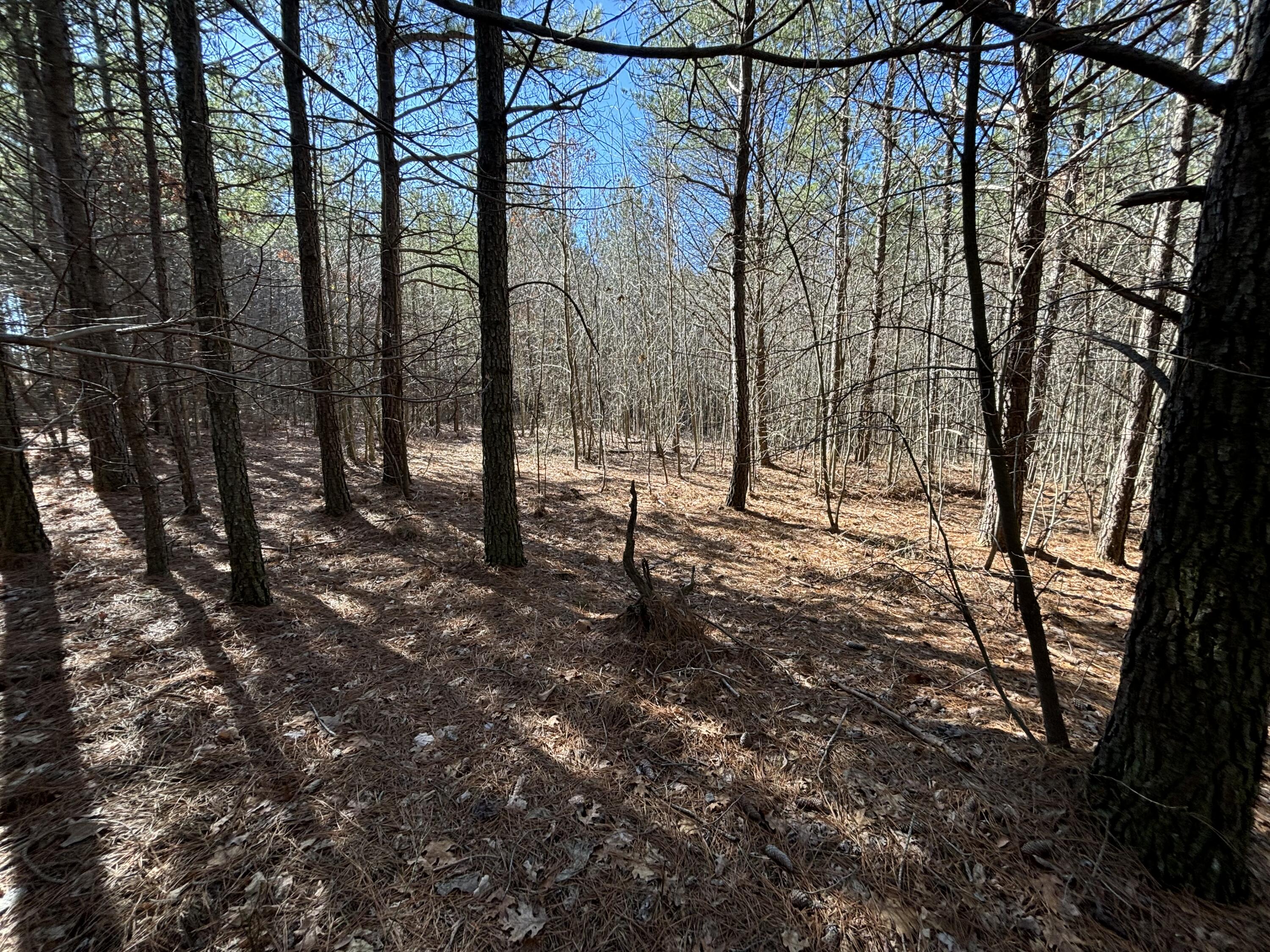 8 Fredonia Road Dunlap, TN 37327 - Photo 3 of 13 Photo Feb 24 2025, 10 58 13 AM