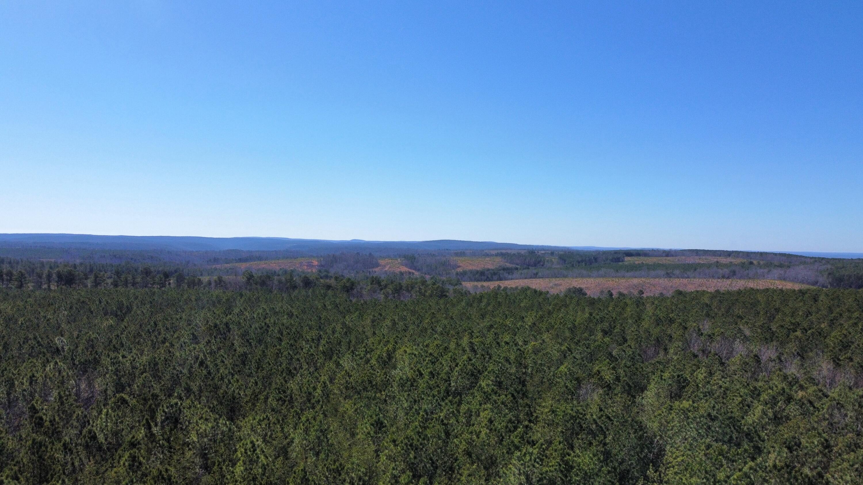 8 Fredonia Road Dunlap, TN 37327 - Photo 6 of 13 Photo Feb 24 2025, 1 37 59 PM (20)