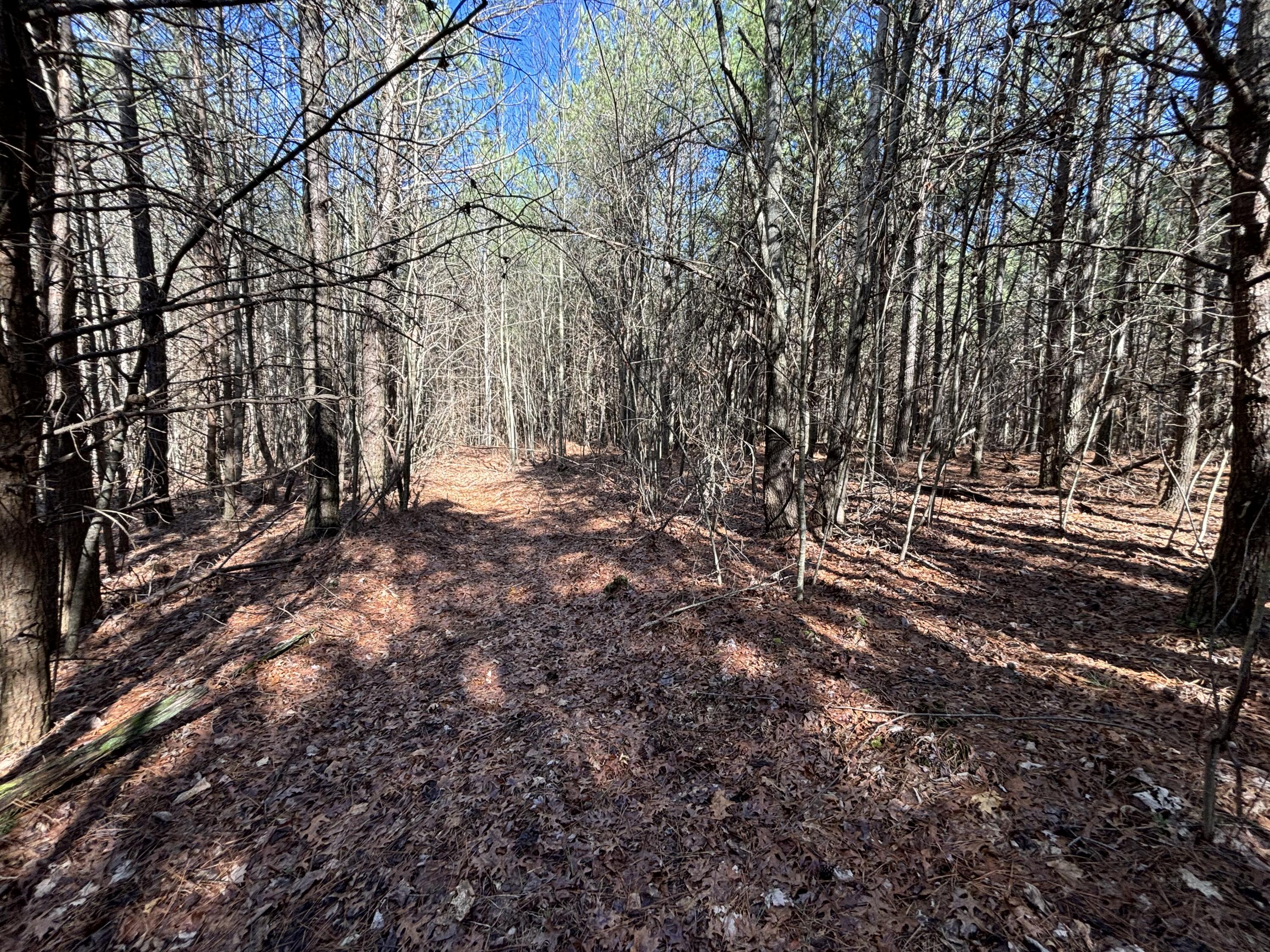 8 Fredonia Road Dunlap, TN 37327 - Photo 7 of 13 Photo Feb 24 2025, 11 09 08 AM