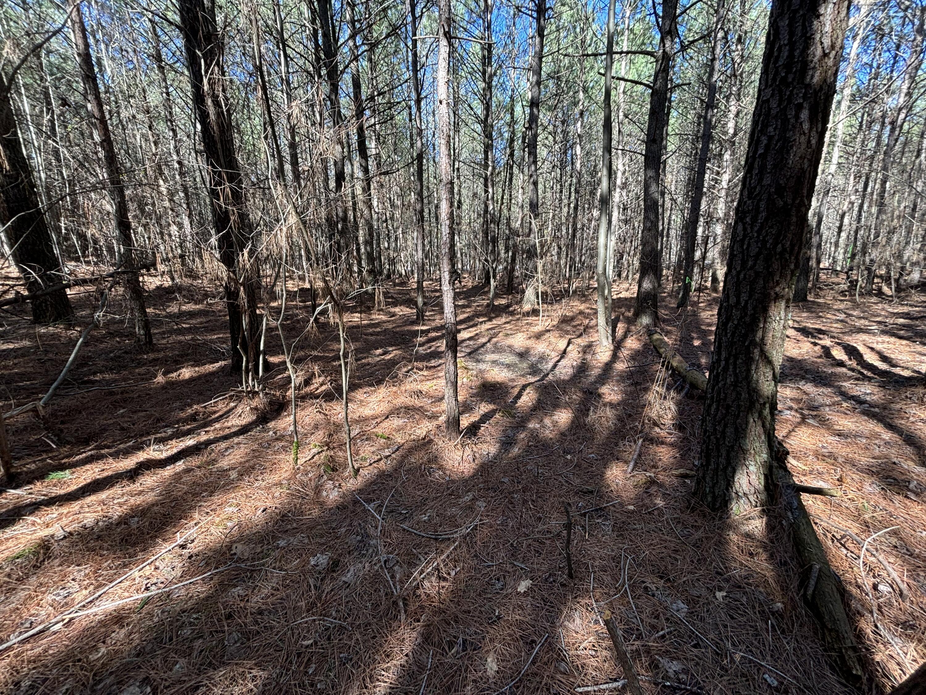 8 Fredonia Road Dunlap, TN 37327 - Photo 8 of 13 Photo Feb 24 2025, 11 27 47 AM