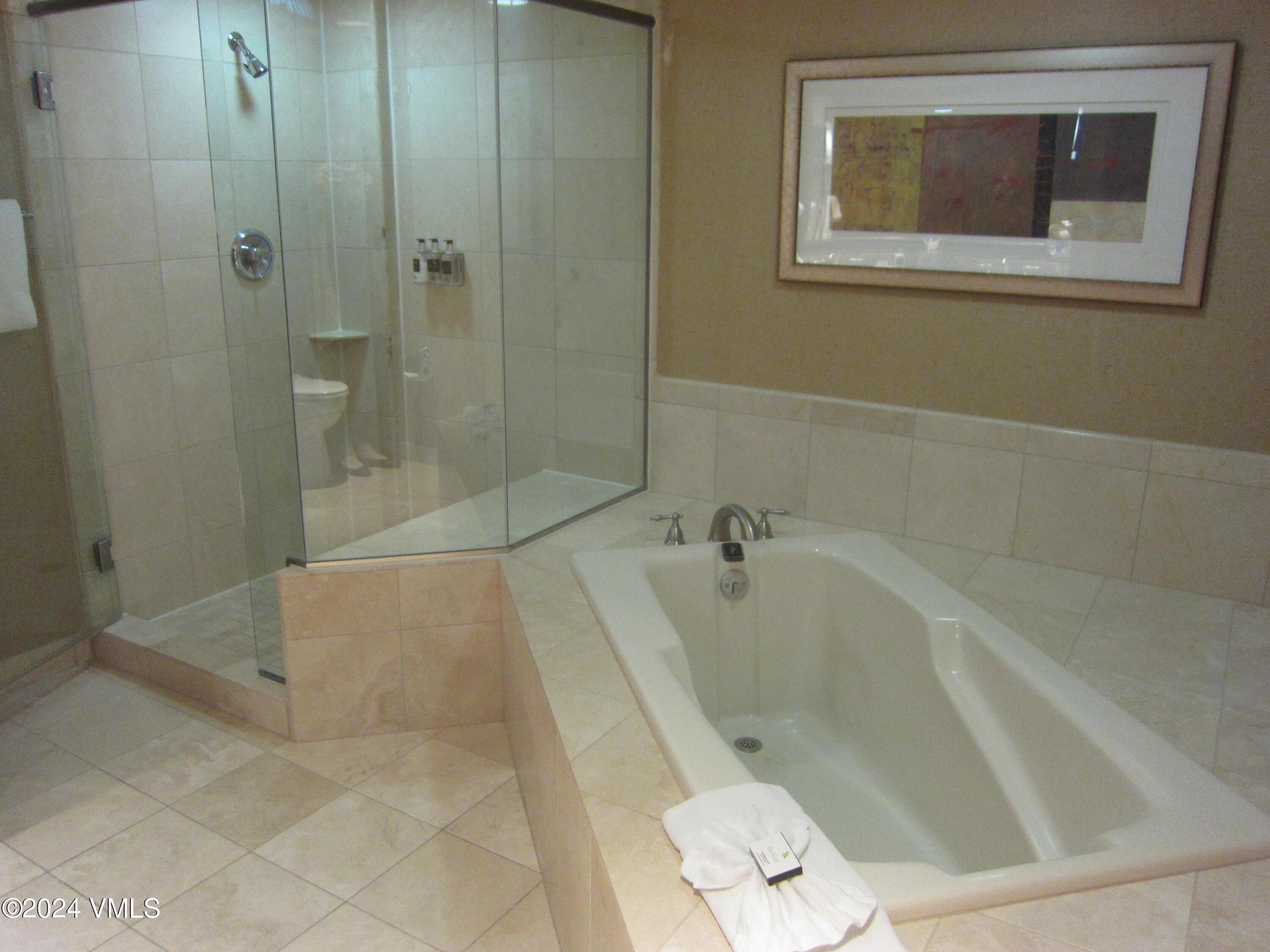 210 Offerson Road, Unit R223 WEEKS 36 & 37 Beaver Creek, CO 81620 - Photo 23 of 23 IMG_2836