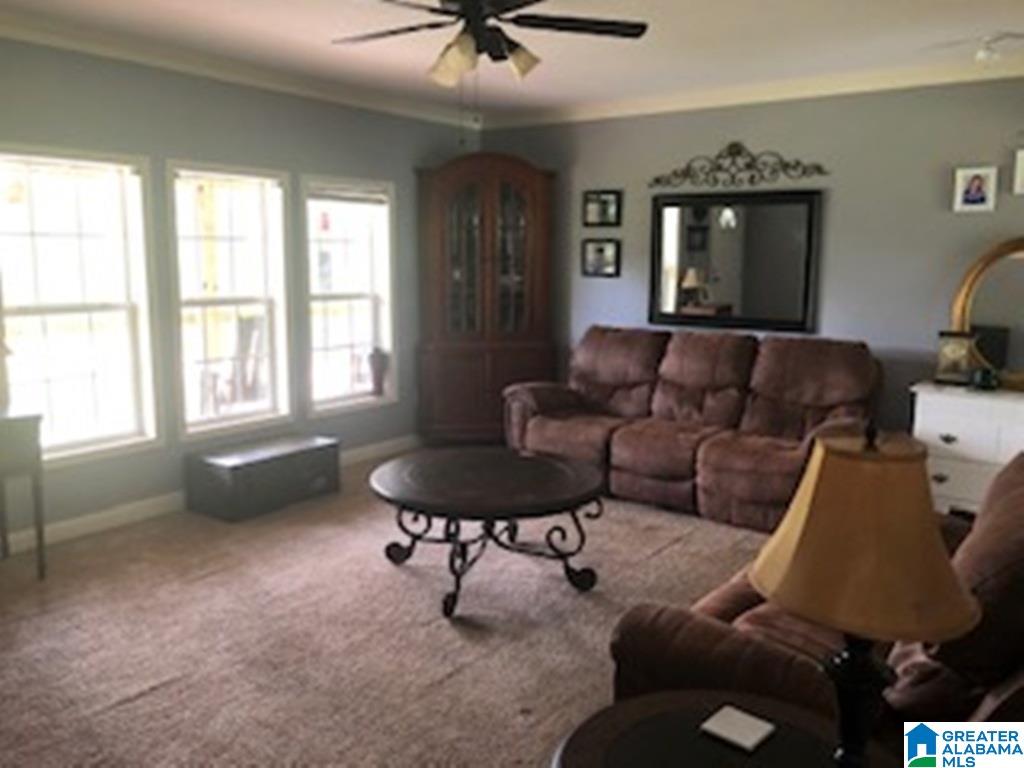 275 Manning Road Pell City, AL 35125 - Photo 2 of 38