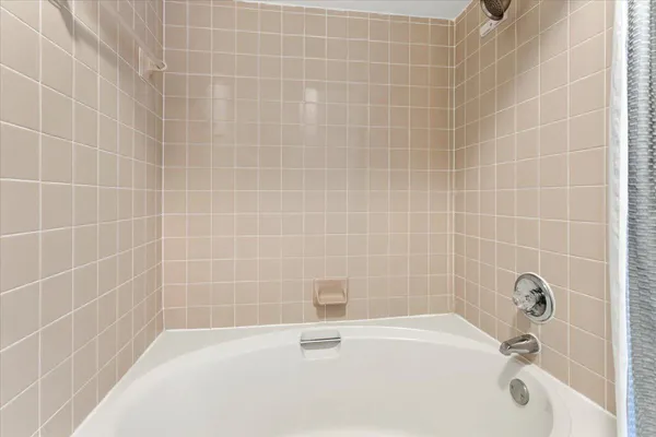 a view of a park with large trees