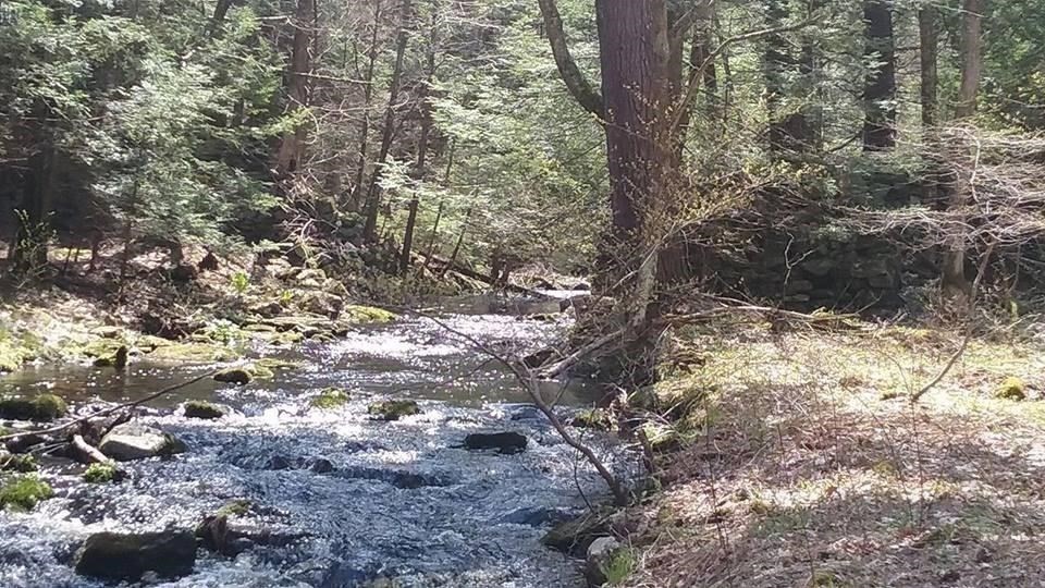 Xo Pole Bridge Road Woodstock, CT 06281 - Photo 11 of 42 Gallery Image 11