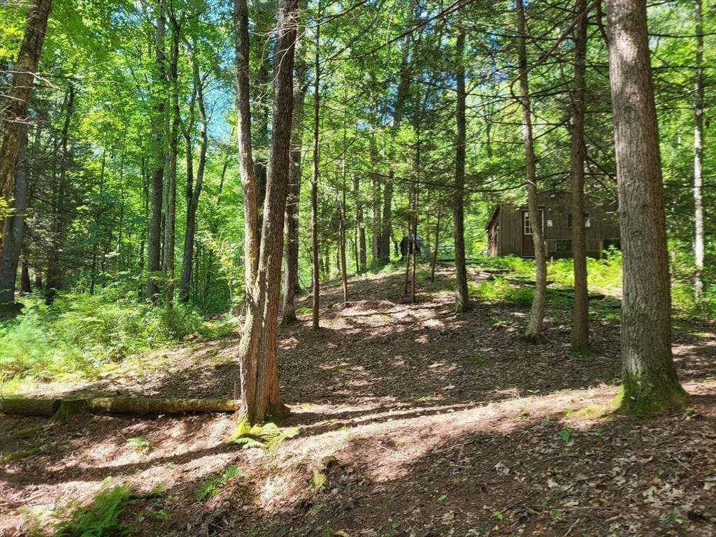 Xo Pole Bridge Road Woodstock, CT 06281 - Photo 24 of 42 Gallery Image 24