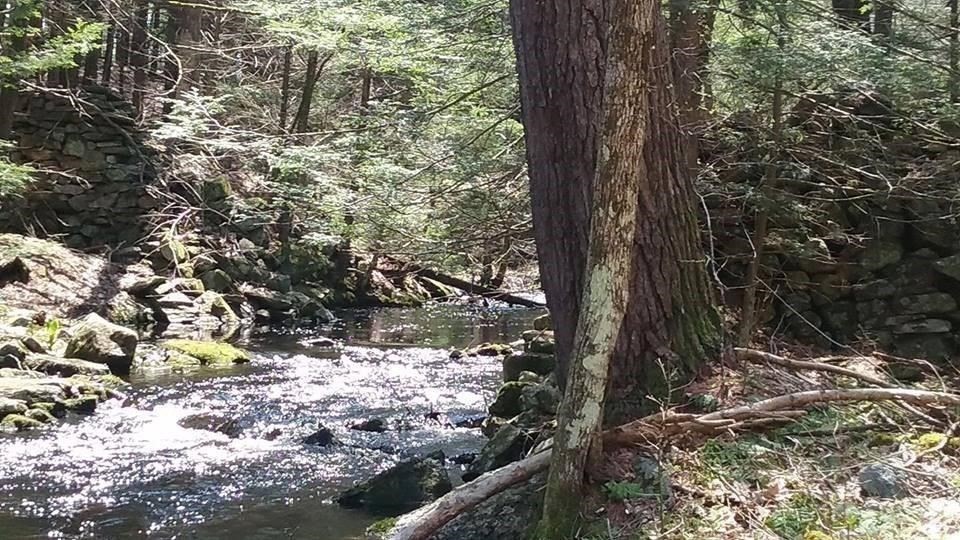 Xo Pole Bridge Road Woodstock, CT 06281 - Photo 39 of 42 Gallery Image 39