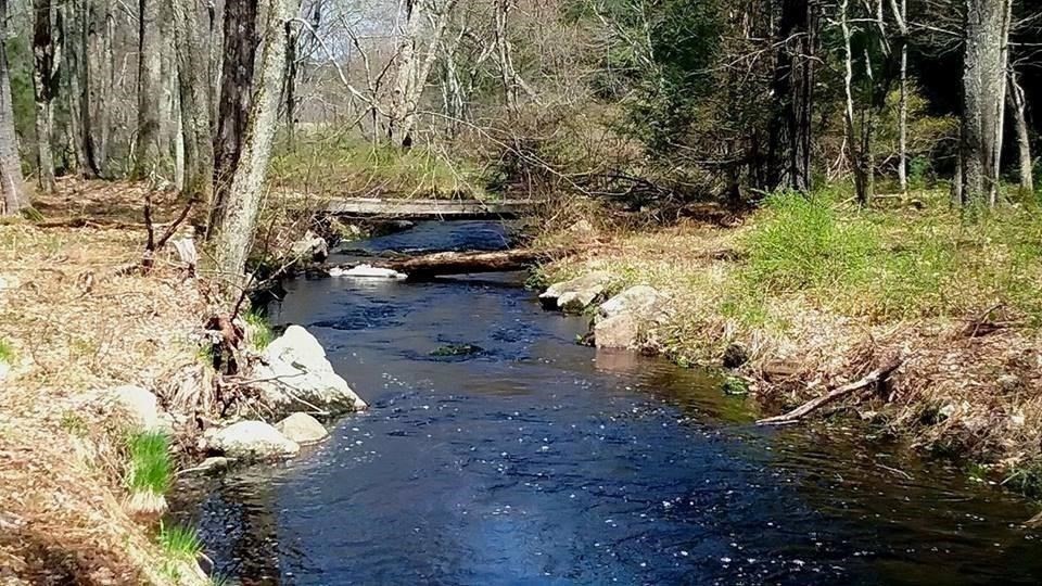 Xo Pole Bridge Road Woodstock, CT 06281 - Photo 4 of 42 Gallery Image 4