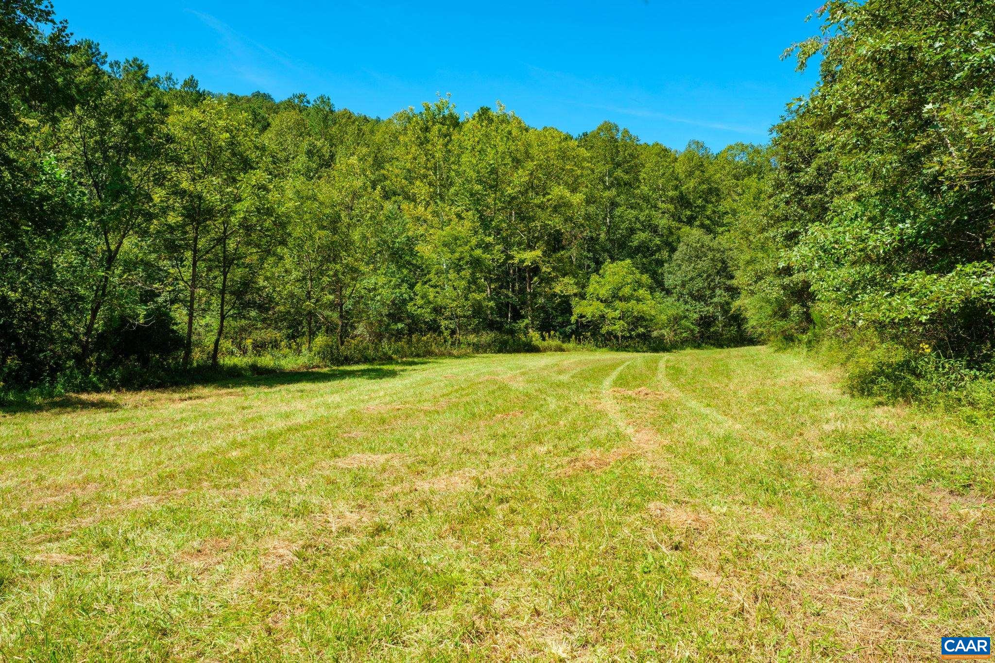 0 Irish Road Faber, VA 22938 - Photo 5 of 17 Gallery Image 5