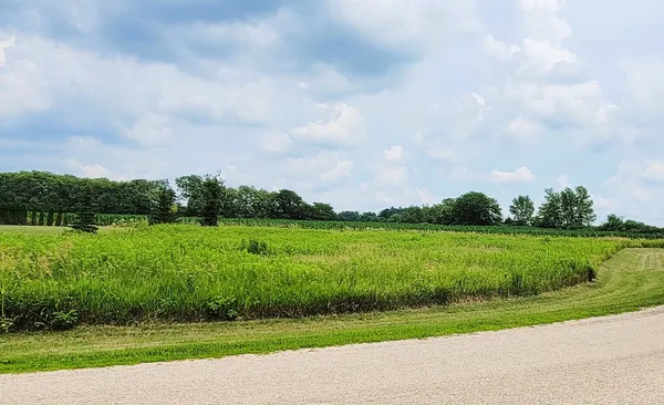 a view of a golf course with a lake