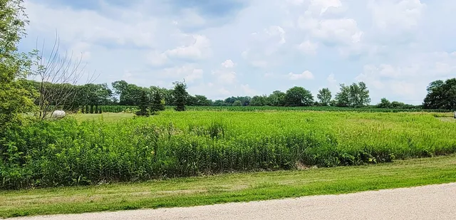 a view of a lake with a big yard