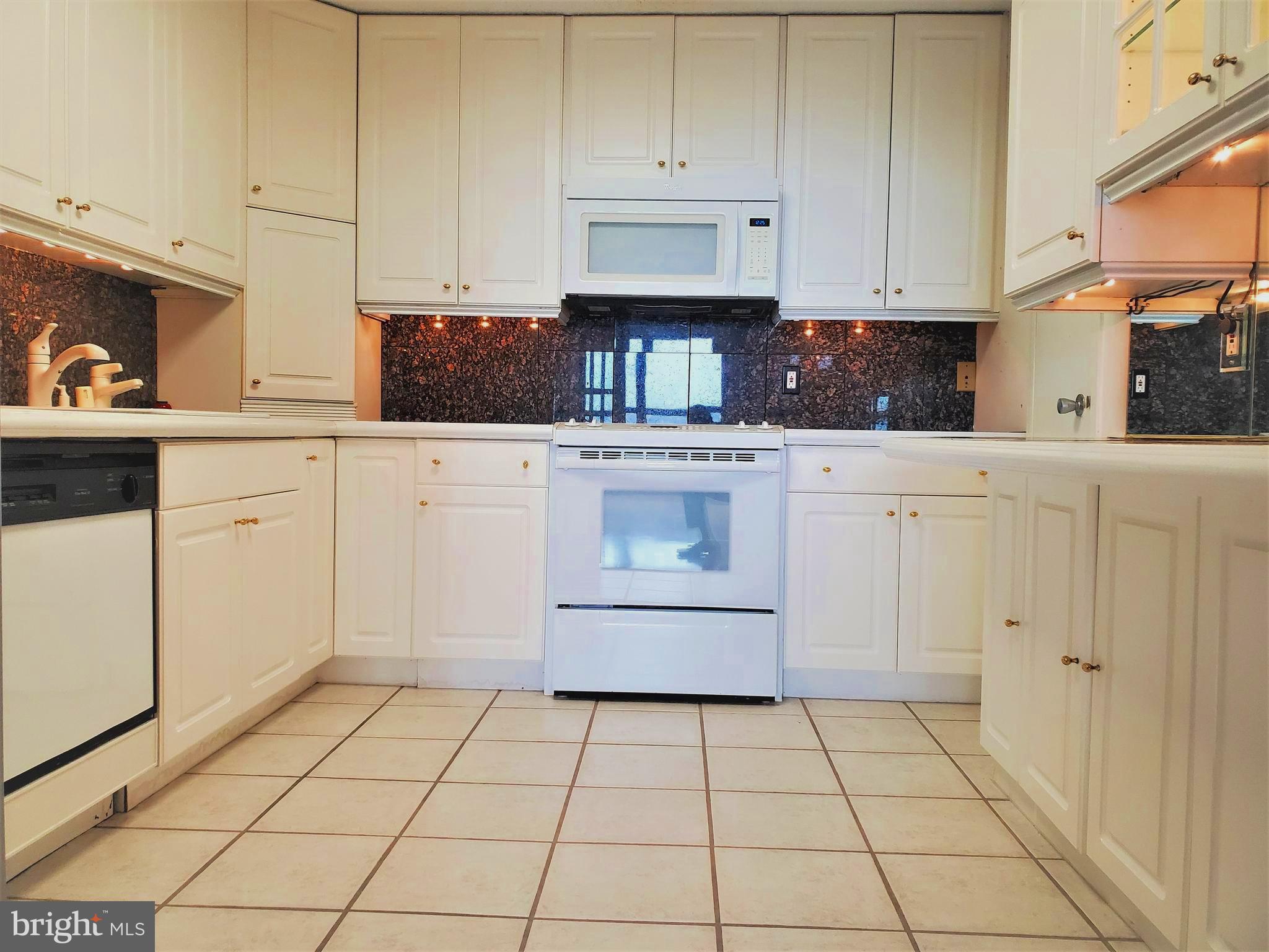 205 East Joppa Road, Unit 2105 Towson, MD 21286 - Photo 15 of 46 Kitchen Cabinets galore!