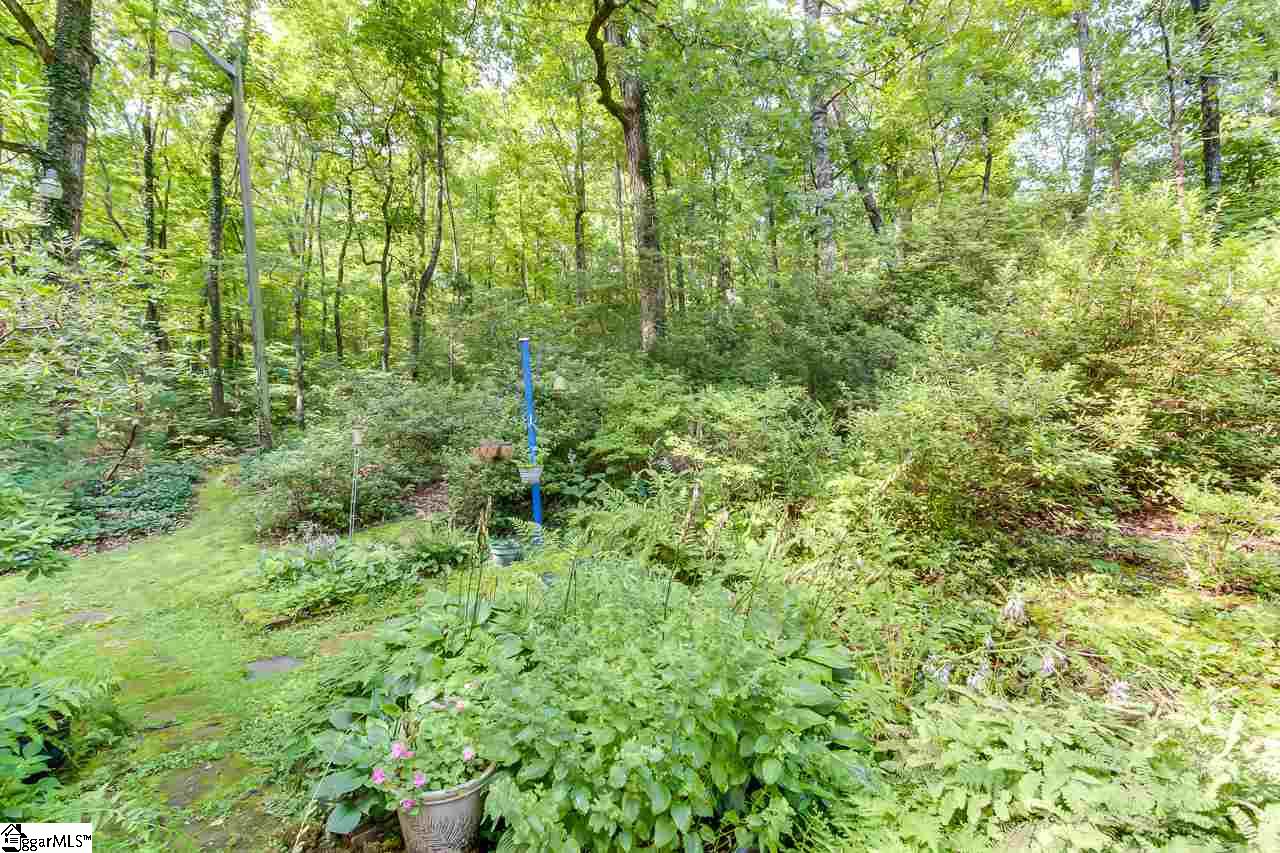 143 Glassy Road Landrum, SC 29356 - Photo 33 of 34