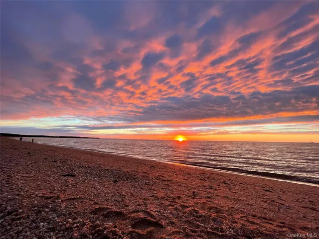 a view of a back yard with green space