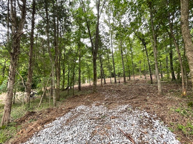 3 Chapel Hill Road Southside, TN 37171 - Photo 1 of 1 Gallery Image 1