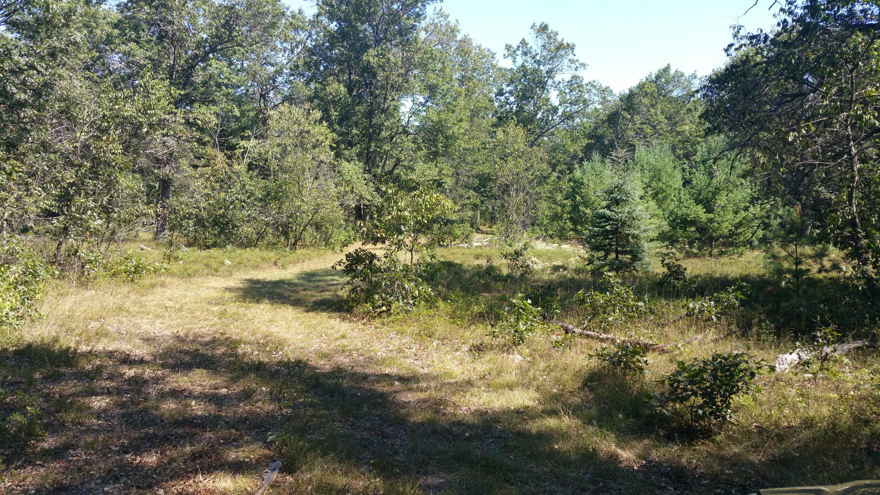 7013 West Doctors Club Road Curran, MI 48728 - Photo 11 of 46 Gallery Image 11