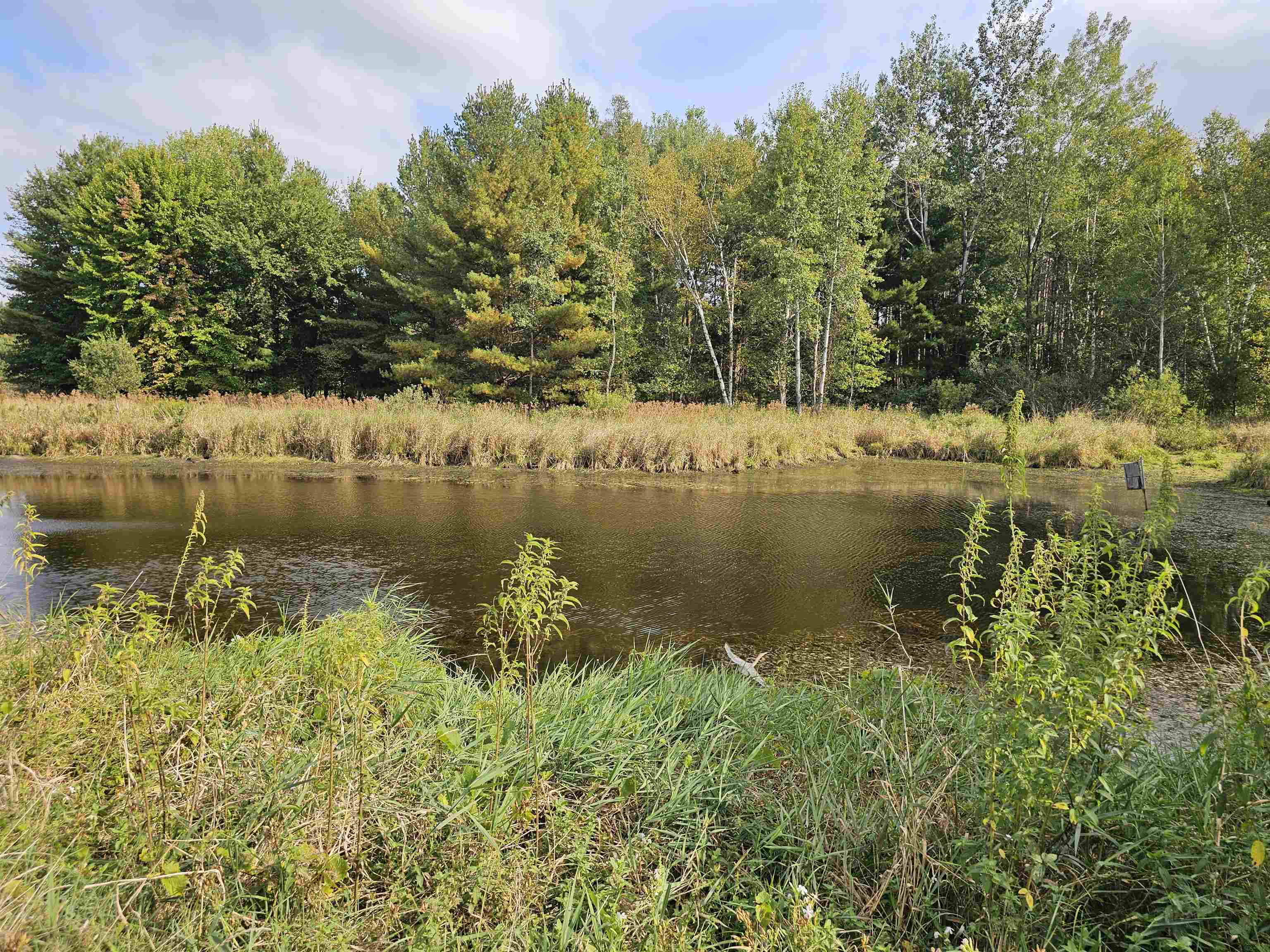 N459 County Rd U Weyauwega, WI 54983 - Photo 11 of 60