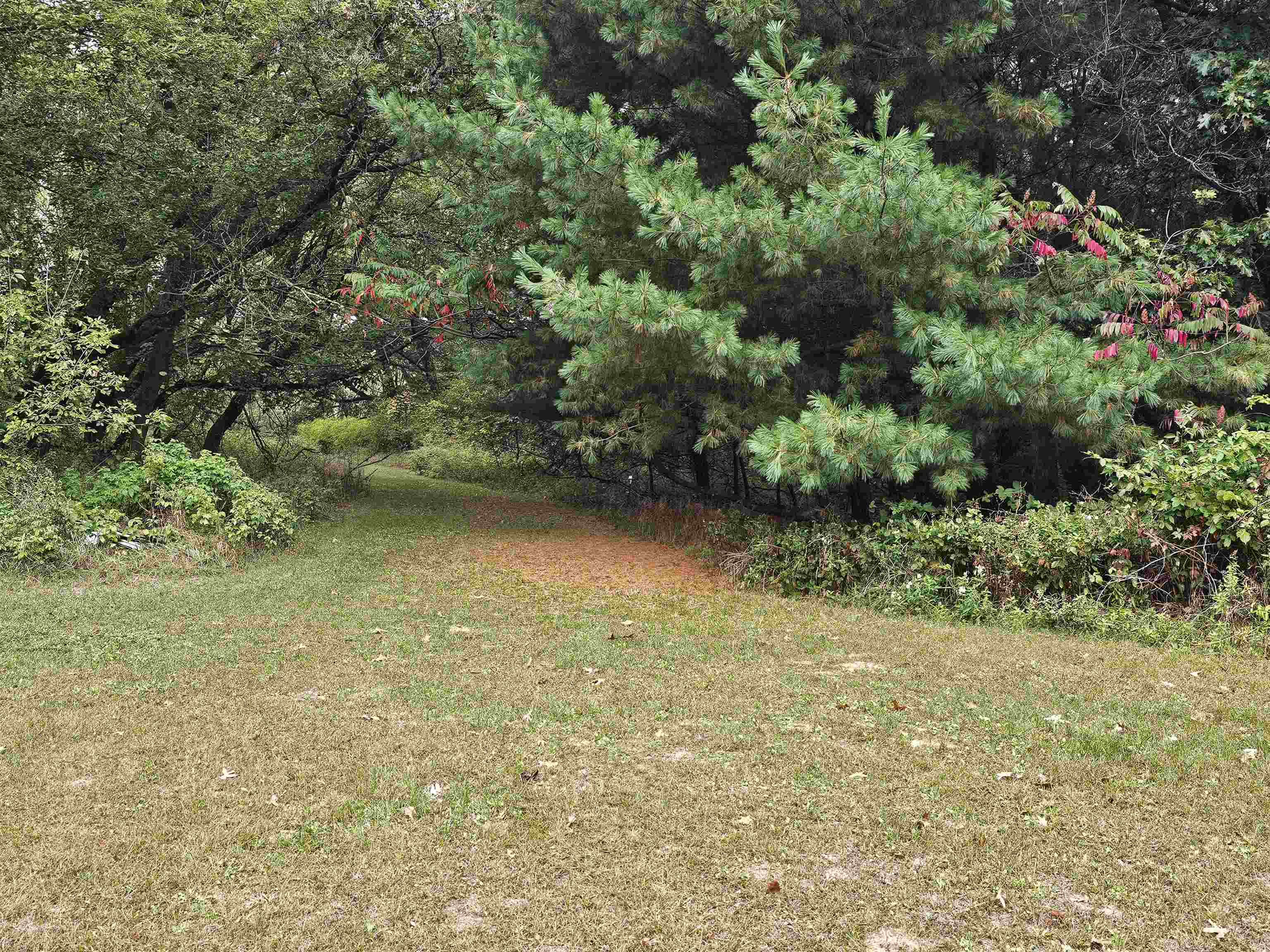 N459 County Rd U Weyauwega, WI 54983 - Photo 40 of 60