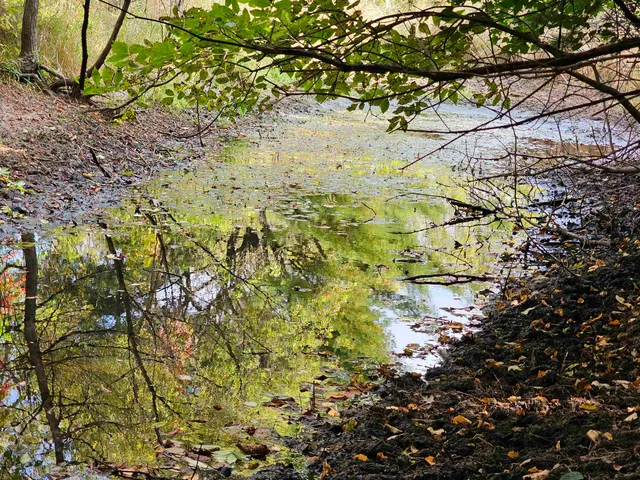 $594,900 | N459 County Rd U, Weyauwega, WI 54983