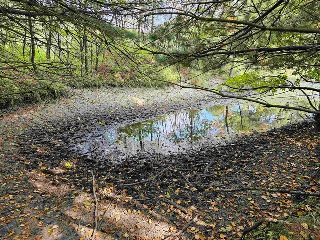 $594,900 | N459 County Rd U, Weyauwega, WI 54983