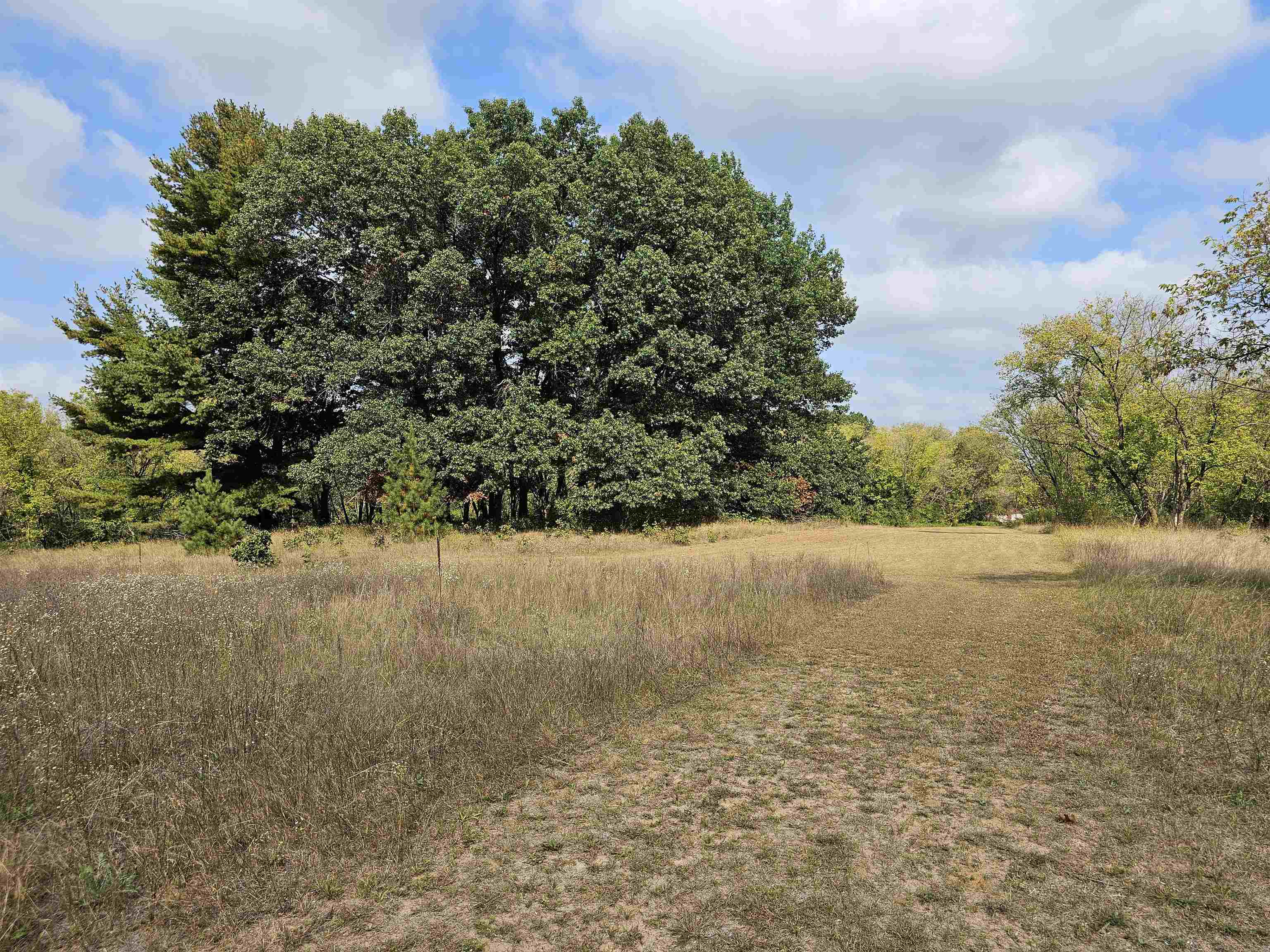 N459 County Rd U Weyauwega, WI 54983 - Photo 48 of 60