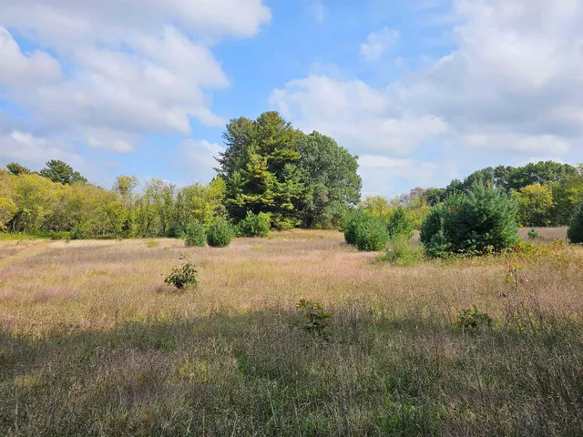 $594,900 | N459 County Rd U, Weyauwega, WI 54983