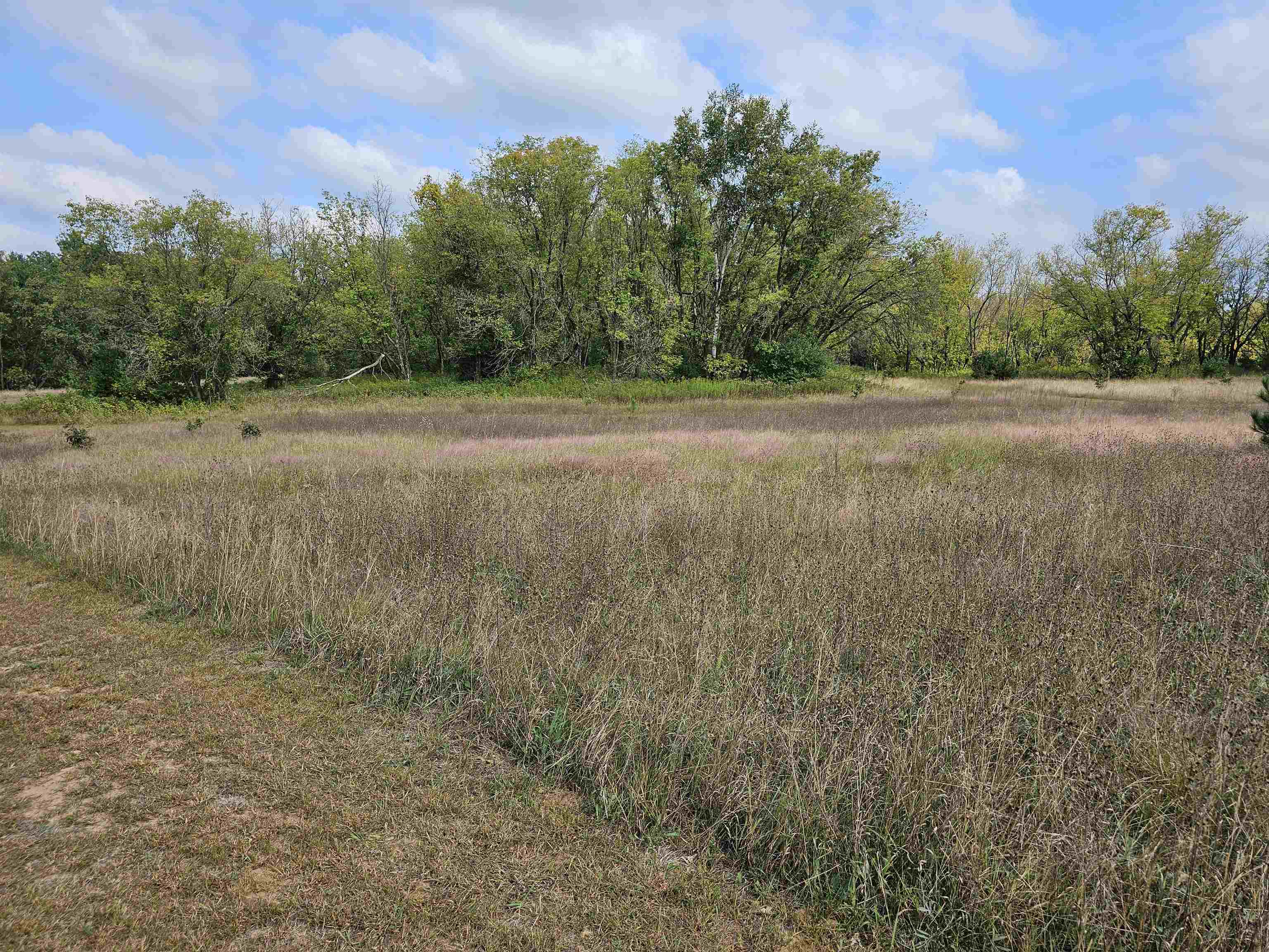 N459 County Rd U Weyauwega, WI 54983 - Photo 50 of 60