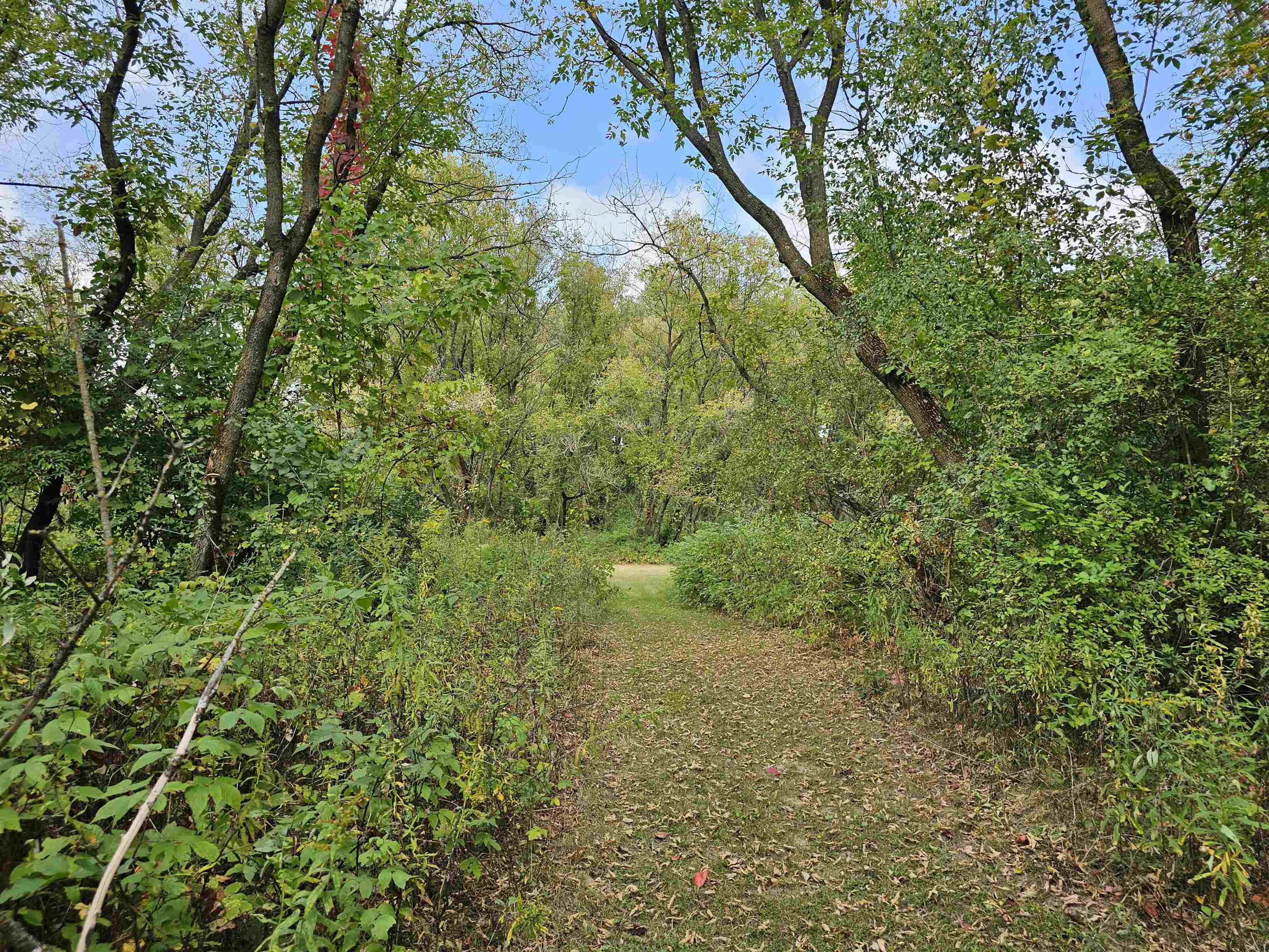 N459 County Rd U Weyauwega, WI 54983 - Photo 52 of 60